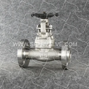 Forged Steel Flange Gate Valve with F347H Stainless Steel Trim and 600lb Pressure Rating