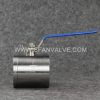 Forged steel 2 pieces F53 3000psi ball valve