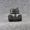 Forged steel weld bonnet check valve - Image 3