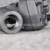Forged steel strainer filter - Image 4