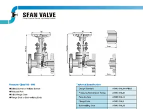Catalogs-Forged-steel-Gate-Globe-Check-and-Ball Valve-Sfanvalve