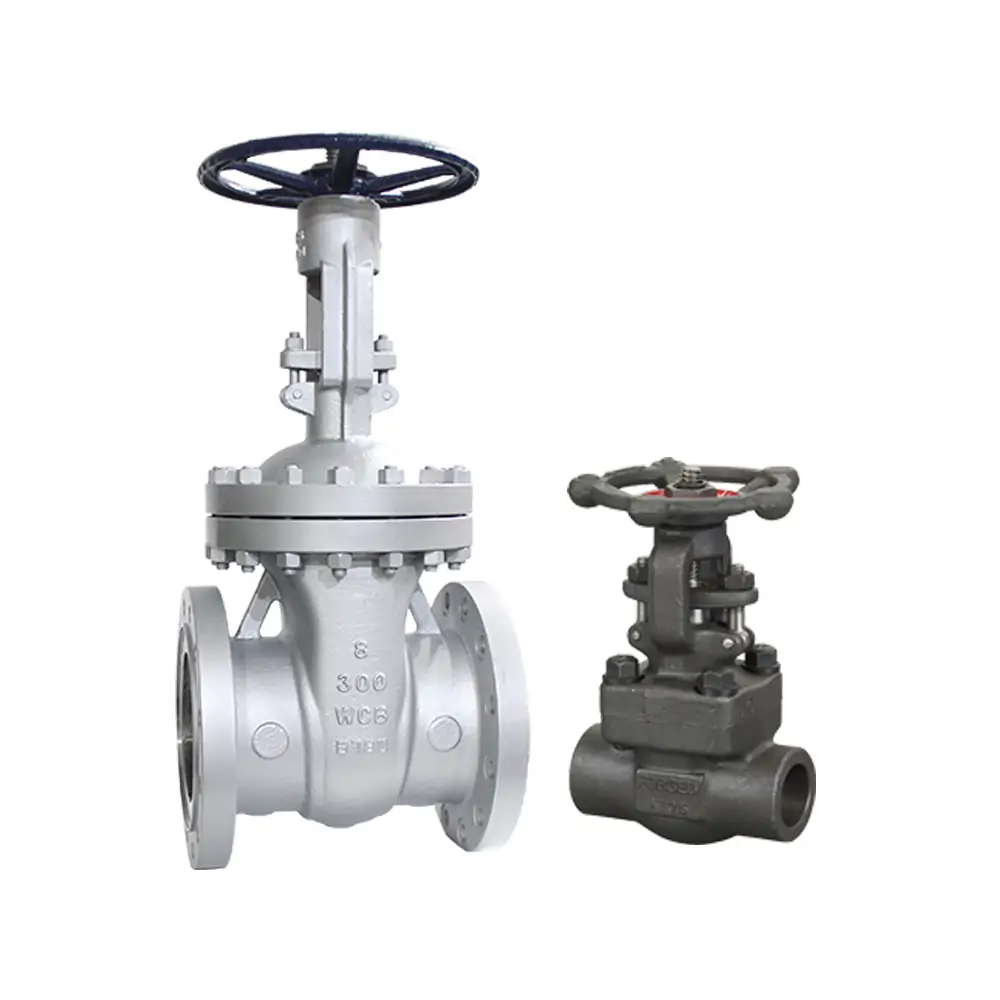 HOME 1 GATE VALVE